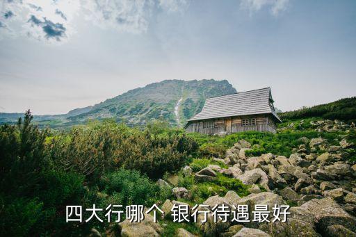 中國哪個銀行最有發(fā)展前景