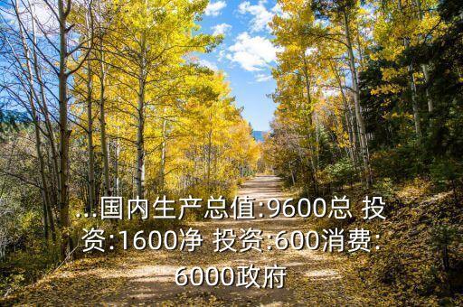 ...國內(nèi)生產(chǎn)總值:9600總 投資:1600凈 投資:600消費:6000政府