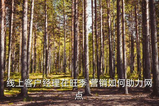 線上客戶經(jīng)理在旺季 營銷如何助力網(wǎng)點