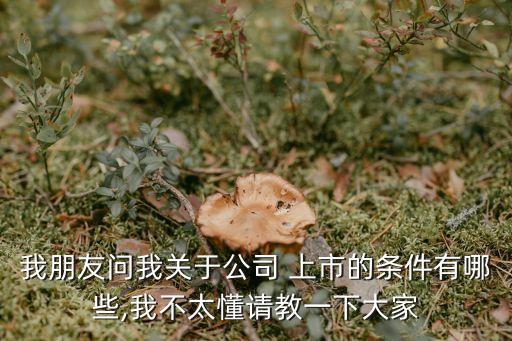 我朋友問(wèn)我關(guān)于公司 上市的條件有哪些,我不太懂請(qǐng)教一下大家