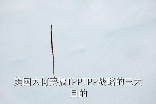 美國為何要搞TPPTPP戰(zhàn)略的三大目的