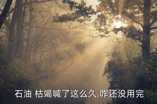 中國能源報(bào)》刊登 石油枯竭論越來越?jīng)]人信