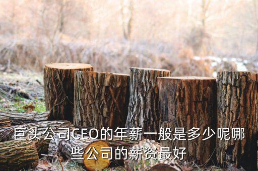 中國ceo收入多少,中國收入5000以下有多少