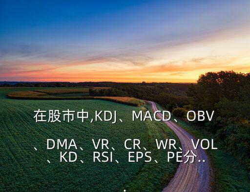 在股市中,KDJ、MACD、OBV、DMA、VR、CR、WR、VOL、KD、RSI、EPS、PE分...