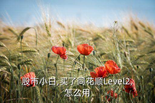 股市小白,買(mǎi)了同花順Level2,怎么用