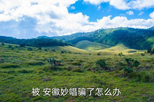 安徽旭宏信息技術(shù)有限公司,鄭州旭宏信息技術(shù)有限公司