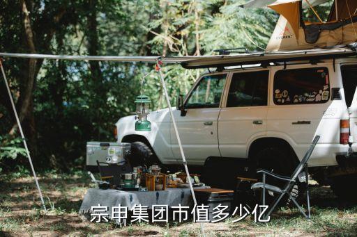 江蘇宗申派姆電動(dòng)機(jī)車(chē)有限公司