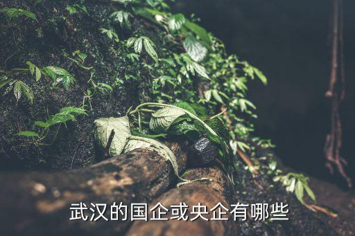  武漢的國企或央企有哪些