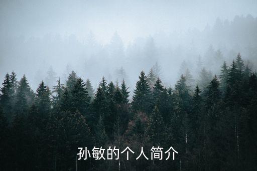 孫敏的個(gè)人簡(jiǎn)介