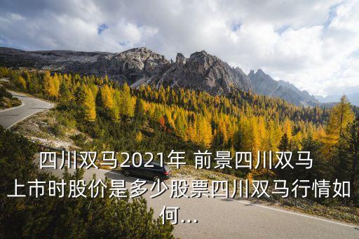 四川雙馬2021年 前景四川雙馬 上市時股價是多少股票四川雙馬行情如何...