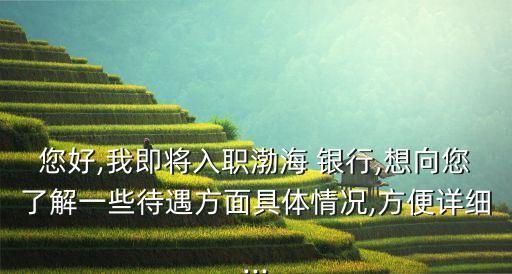 您好,我即將入職渤海 銀行,想向您了解一些待遇方面具體情況,方便詳細...