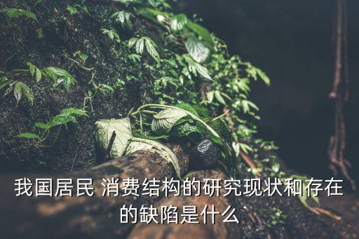 我國居民 消費結構的研究現(xiàn)狀和存在的缺陷是什么