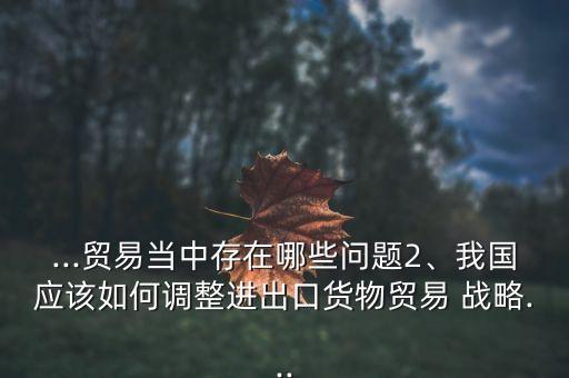 ...貿(mào)易當(dāng)中存在哪些問題2、我國應(yīng)該如何調(diào)整進(jìn)出口貨物貿(mào)易 戰(zhàn)略...