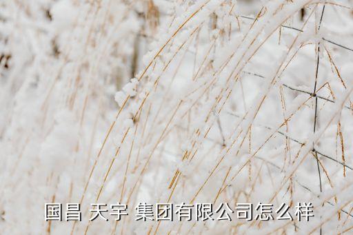  國(guó)昌 天宇 集團(tuán)有限公司怎么樣