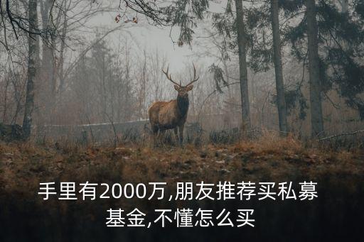 手里有2000萬(wàn),朋友推薦買(mǎi)私募 基金,不懂怎么買(mǎi)