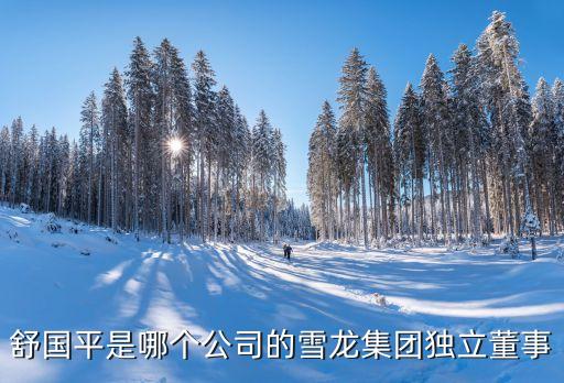 舒國平是哪個公司的雪龍集團獨立董事