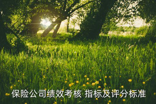  保險(xiǎn)公司績效考核 指標(biāo)及評分標(biāo)準(zhǔn)