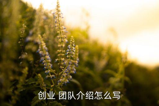 投資公司團隊介紹,影視文化投資公司介紹