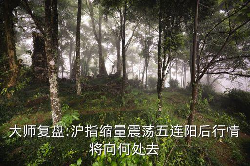 大師復盤:滬指縮量震蕩五連陽后行情將向何處去