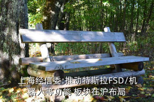  上海經(jīng)信委:推動特斯拉FSD/機器人等功能 板塊在滬布局