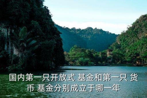 國(guó)內(nèi)第一只開放式 基金和第一只 貨幣 基金分別成立于哪一年