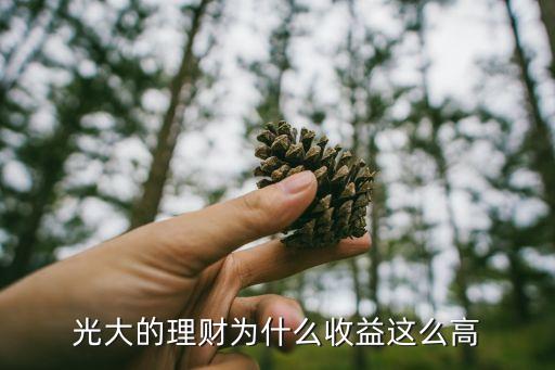 光大的理財(cái)為什么收益這么高