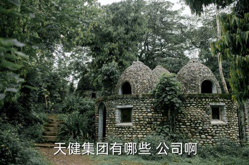 深圳市天健房地產(chǎn)開發(fā)公司,河北天健房地產(chǎn)開發(fā)有限公司