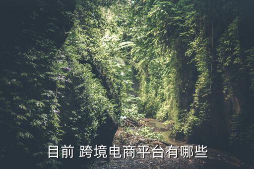 目前 跨境電商平臺有哪些