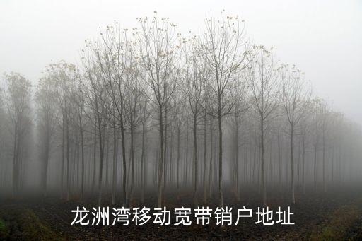  龍洲灣移動寬帶銷戶地址