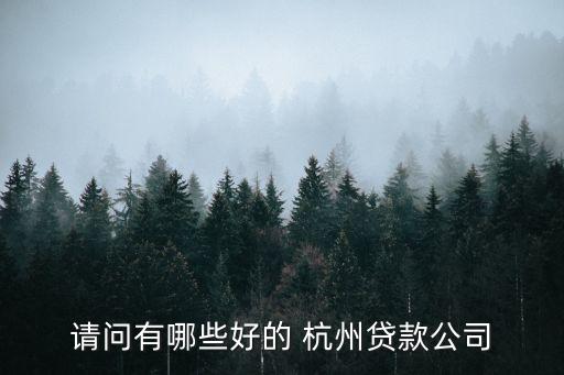 請(qǐng)問有哪些好的 杭州貸款公司