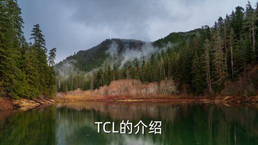 TCL的介紹