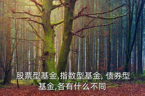 上證債券和股票的區(qū)別,上證股票與深證股票有什么區(qū)別