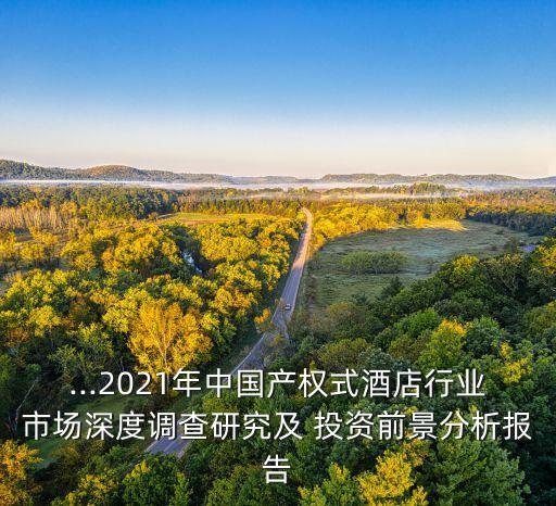 ...2021年中國產(chǎn)權(quán)式酒店行業(yè)市場深度調(diào)查研究及 投資前景分析報(bào)告