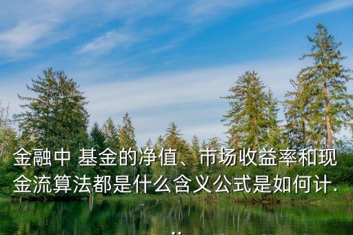 金融中 基金的凈值、市場收益率和現(xiàn)金流算法都是什么含義公式是如何計...