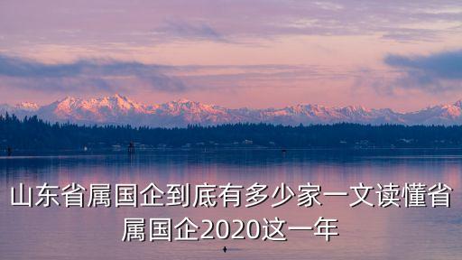 山東省屬國(guó)企到底有多少家一文讀懂省屬國(guó)企2020這一年