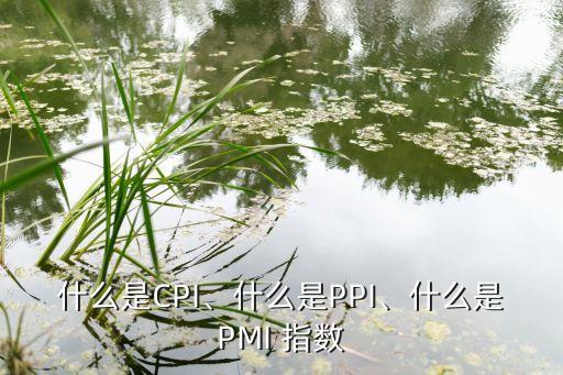 什么是CPI、什么是PPI、什么是PMI 指數(shù)