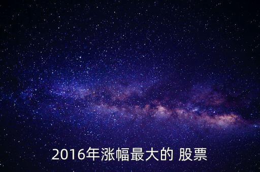 2016年漲幅最大的 股票