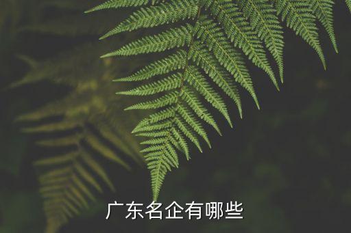 深圳市神州通地產(chǎn)置業(yè)有限公司