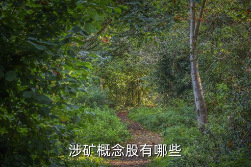 深圳雄震集團(tuán)有限公司,深圳震雄集團(tuán)有限公司怎么樣