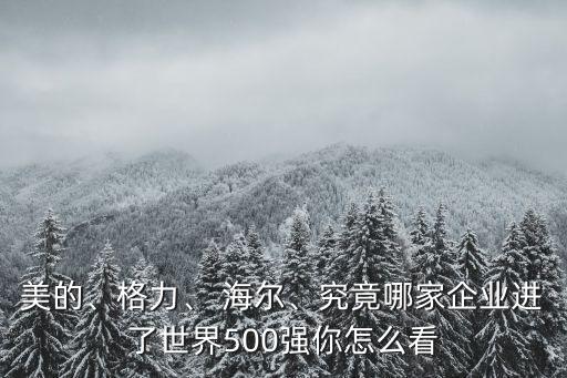 美的、格力、 海爾、究竟哪家企業(yè)進(jìn)了世界500強(qiáng)你怎么看