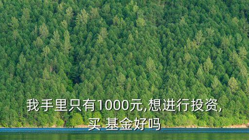 我手里只有1000元,想進(jìn)行投資,買 基金好嗎