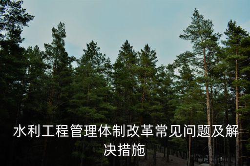  水利工程管理體制改革常見(jiàn)問(wèn)題及解決措施