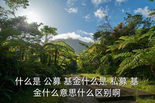 公募基金與私募基金標的的區(qū)別,私募基金比公募基金優(yōu)勢