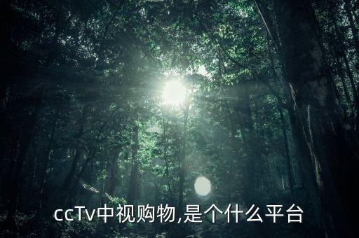 中國最具公信力,中國的公信力怎么樣