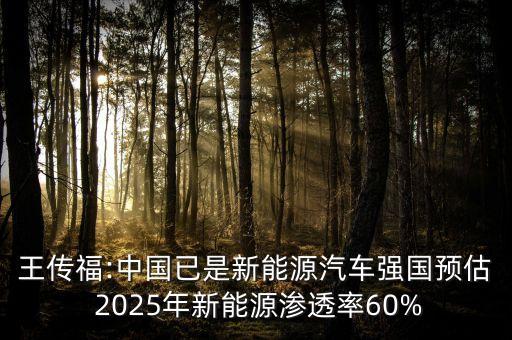 王傳福:中國已是新能源汽車強國預(yù)估 2025年新能源滲透率60%