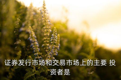 機(jī)構(gòu)投資者一定是企業(yè)投資者,當(dāng)投資者尤其是機(jī)構(gòu)投資者