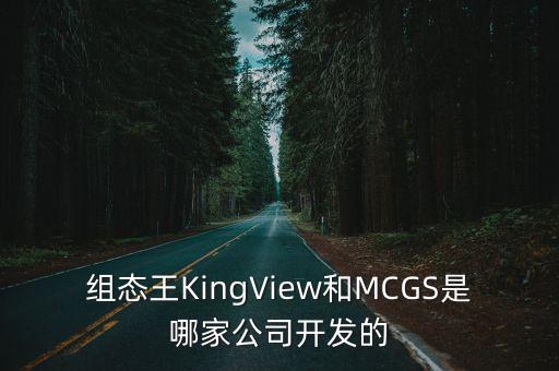 組態(tài)王KingView和MCGS是哪家公司開發(fā)的