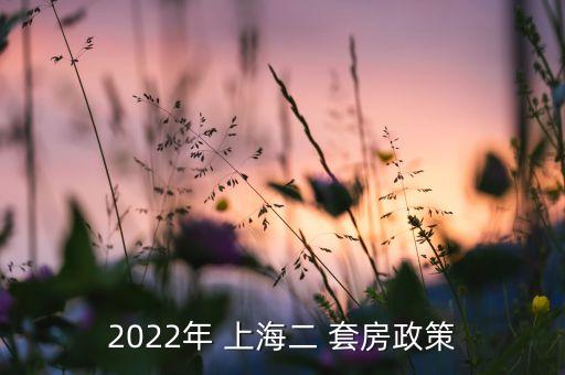 2022年 上海二 套房政策