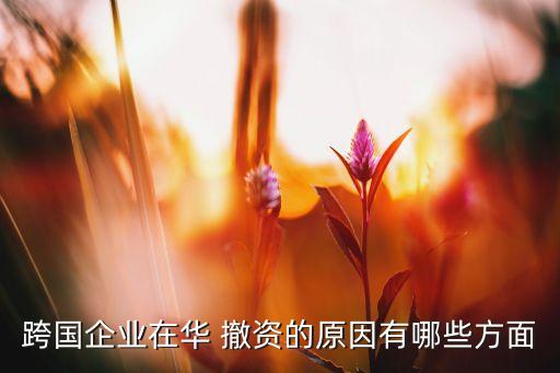 跨國企業(yè)在華 撤資的原因有哪些方面