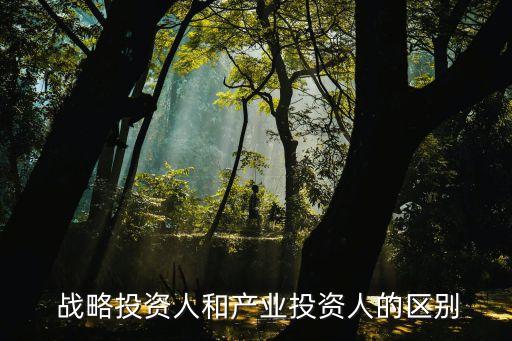  戰(zhàn)略投資人和產(chǎn)業(yè)投資人的區(qū)別